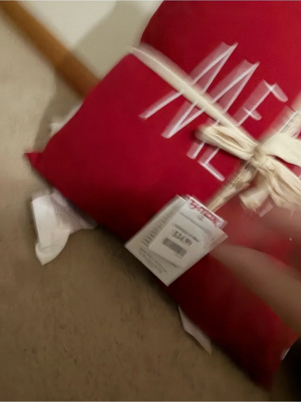 Rae Dunn Christmas Red and white Holiday Decorative Pillow set